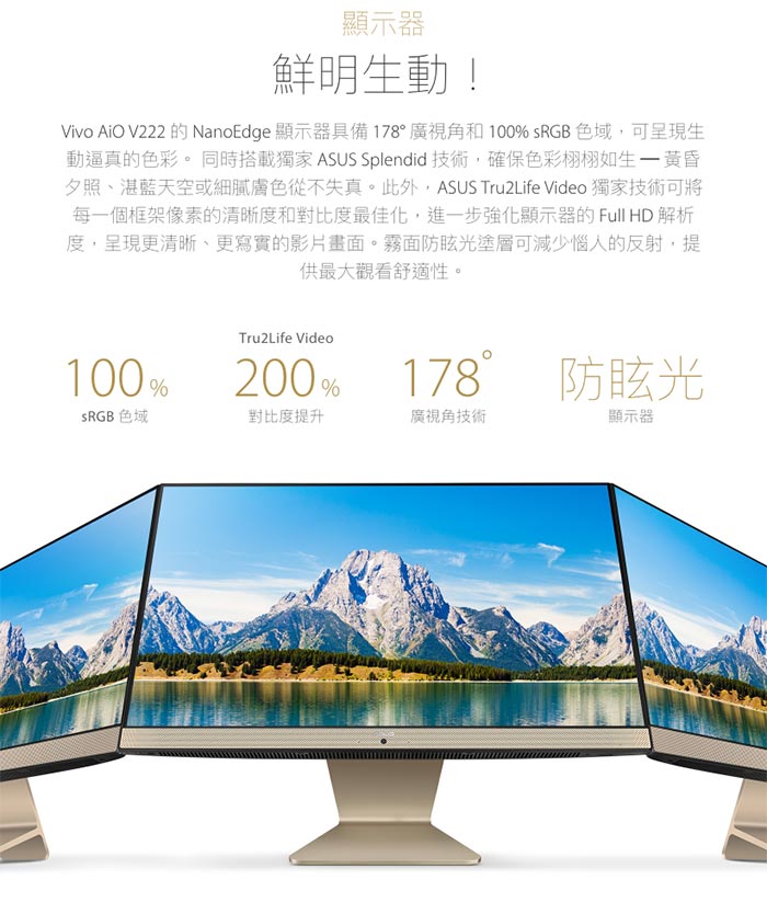 (無卡分期12期)ASUS Vivo AiO V222 22型(J4005/4G/1TB