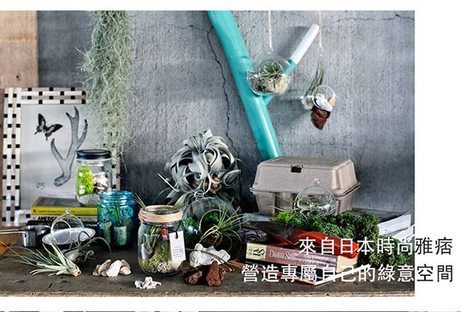 URBAN GREEN MAKERS 桌上型盆栽造景玻璃組-圓瓶