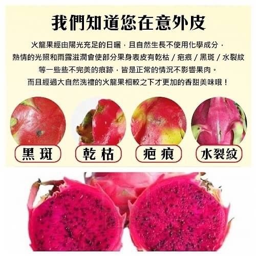 【天天果園】台灣高山紅肉火龍果原裝箱(大顆)10斤(約8-9顆/箱)