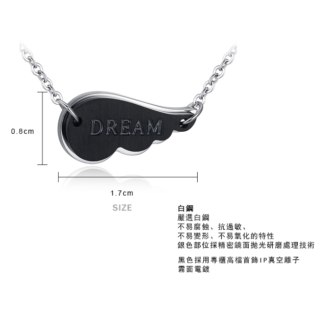 AchiCat 珠寶白鋼項鍊 幸福時刻 翅膀