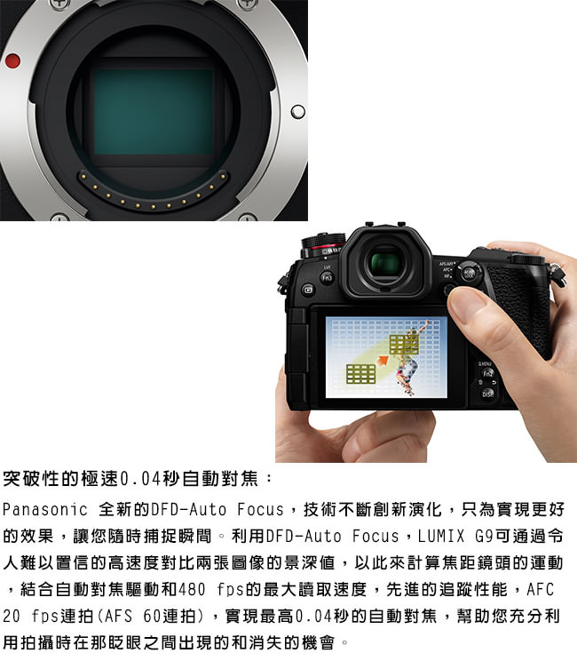 Panasonic Lumix DMC-G9 單機身*(中文平輸)