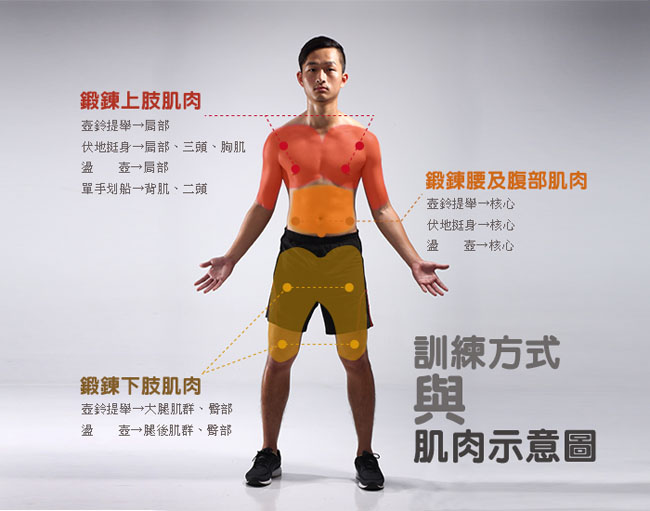 【FIT SO】鑄鐵壺鈴 28KG