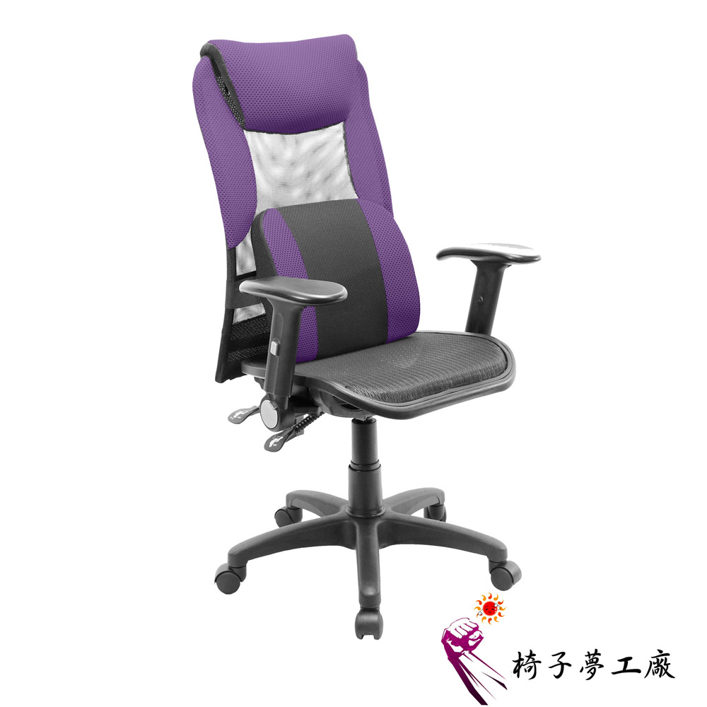 椅子夢工廠   戴米恩舒壓護腰全網多功能辦公椅/電腦椅(八色任選)