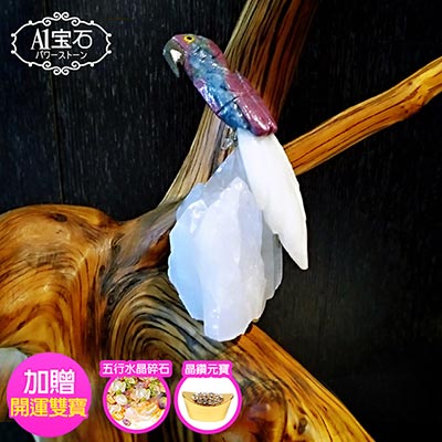 A1寶石  頂級彩色水晶鳥-白水晶簇/同聚寶盆發財樹水晶洞功效