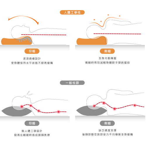 義大利La Belle 舒眠人體工學記憶枕 一入