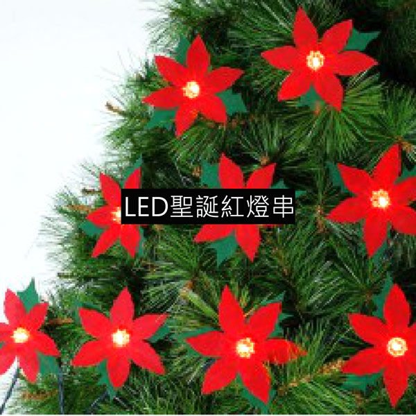 聖誕燈LED燈20燈聖誕紅造型燈串