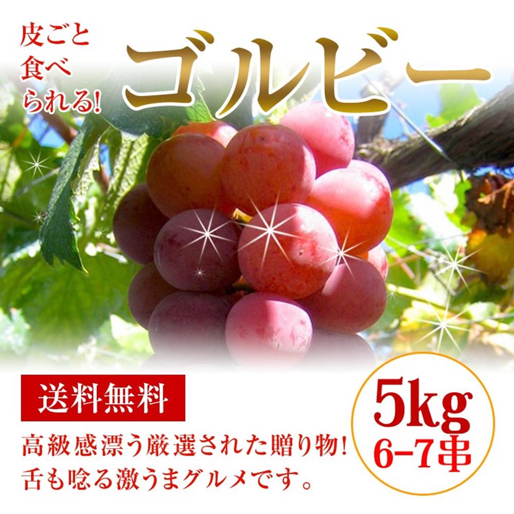 【天天果園】日本長野無籽紅葡萄原箱 x5kg (約6~7串)