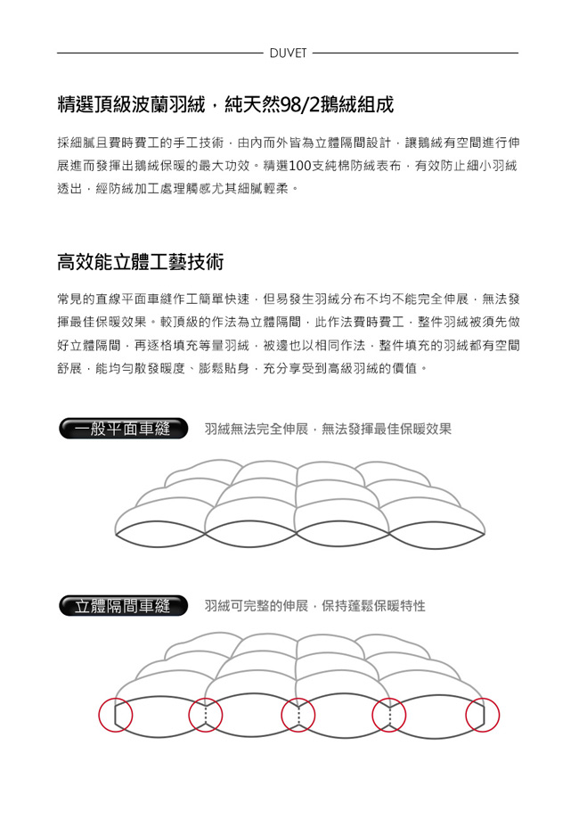 HOYA H Series 波蘭尊榮頂級98/02立體隔間鵝絨被(雙人)-贈匹馬棉薄被套