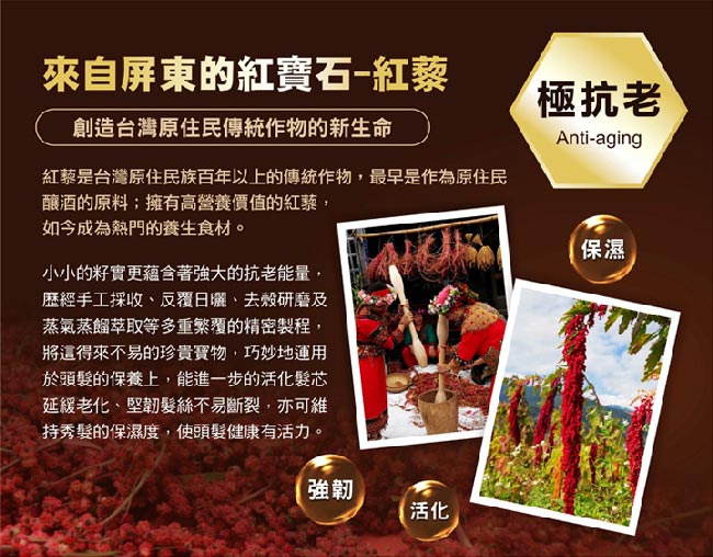 舒妃SOFEI 真植萃 紅藜摩洛哥油嚴損修護護髮膜600ML