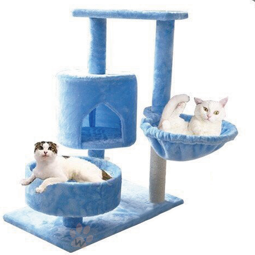 寵喵樂 時尚貓咪瞭望台-休閒水藍色#205