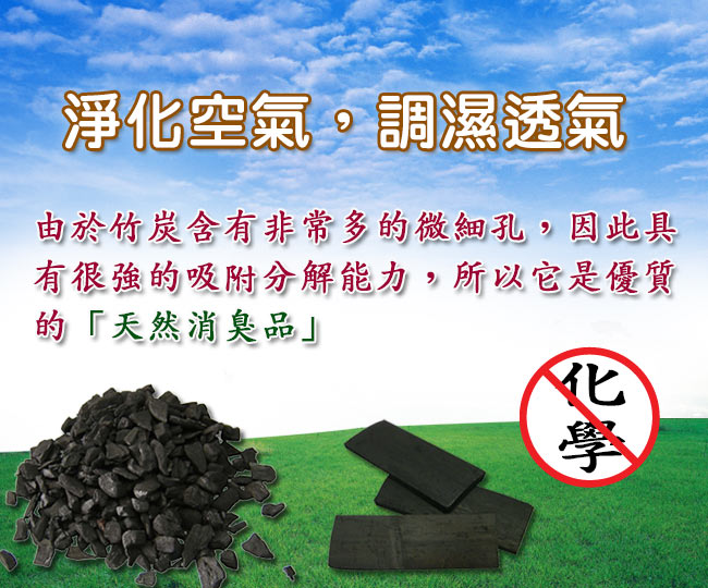 源之氣 台灣精選竹炭脫臭包 500g/6入 RM-9456