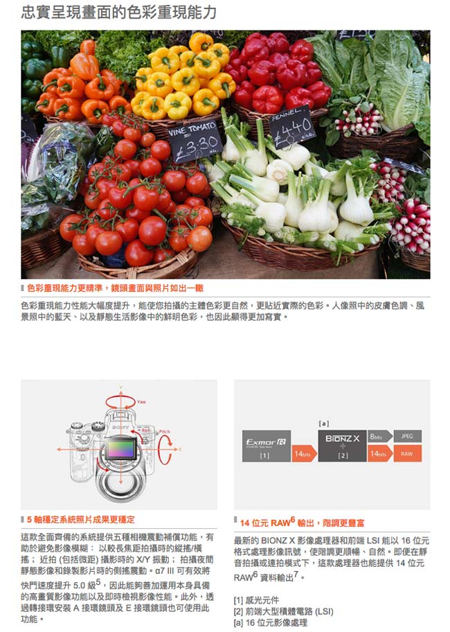 SONY A7III (A7M3 / MIII) 單機身 (公司貨)