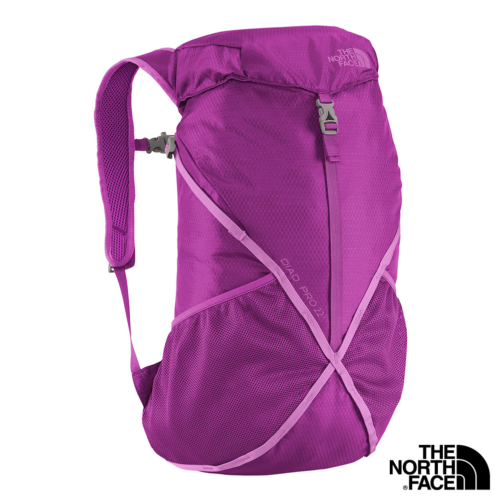 The North Face 22L 輕量專業登山背包 紫紅/鳶尾蘭紫