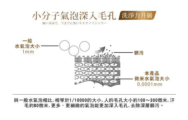 takagi 微米氣泡美容沐浴器/蓮蓬頭-光澤銀