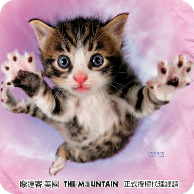 摩達客 美國進口The Mountain 粉紅飛天撲小貓 短袖T恤