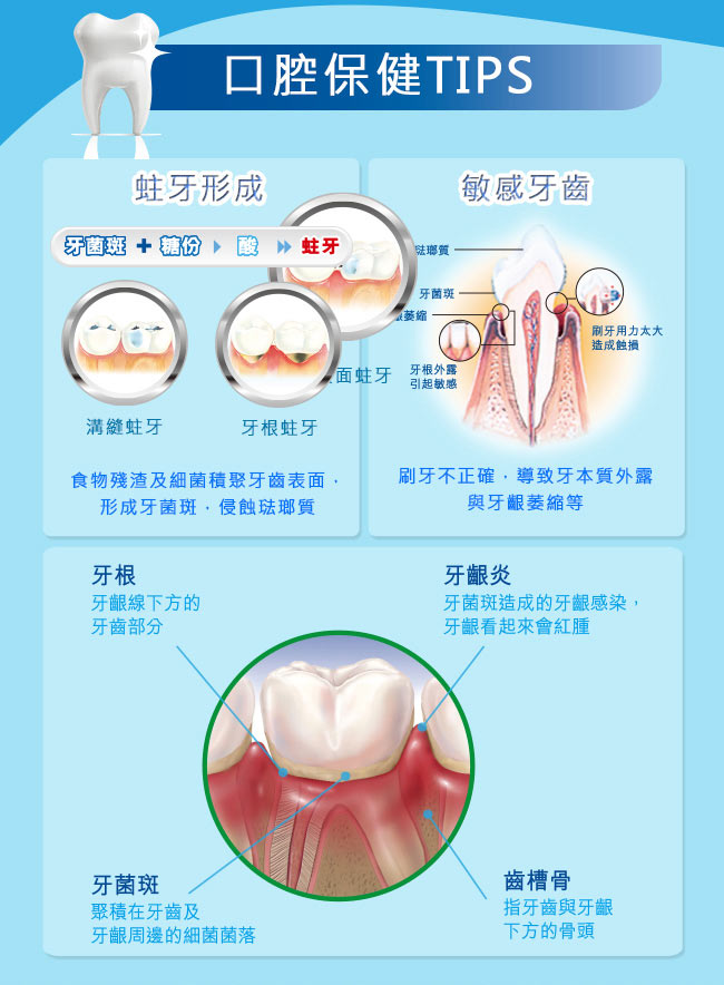 歐樂B 名典型牙刷軟毛40號8入