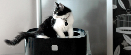 美國modko 紐約機能美廁 設計款貓砂盆