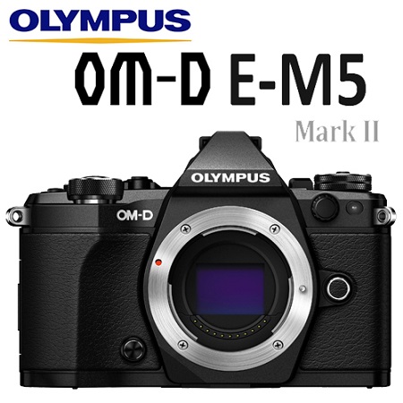 OLYMPUS OM-D E-M5 Mark II 單機身 (公司貨)