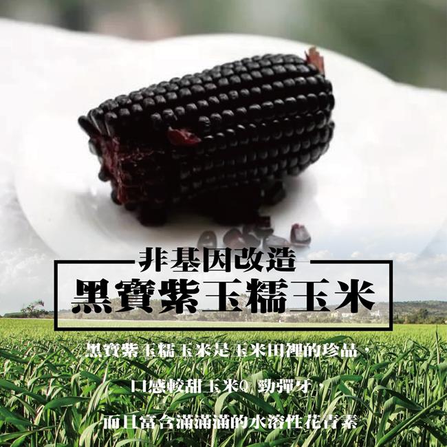 【天天果園】黑寶紫糯米玉米(10斤/箱)