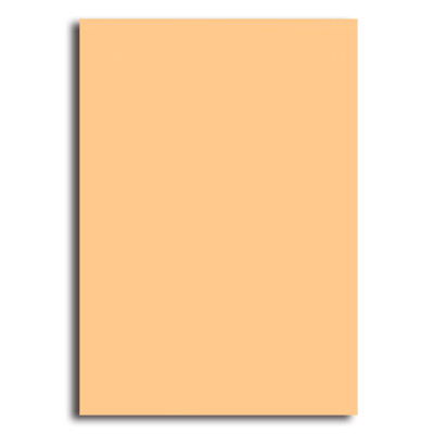 PAPERLINE 150 / 80P / A3 淺橘色 彩色影印紙(500張/包)