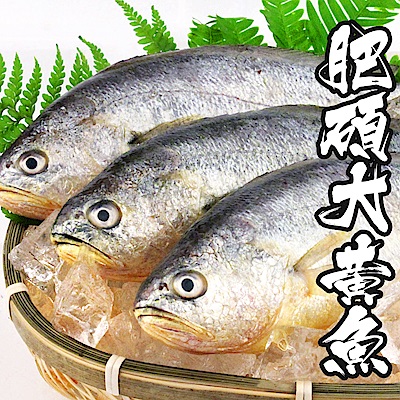 【海鮮王】當季肥碩大黃魚 *3件組(400g±10%/尾)