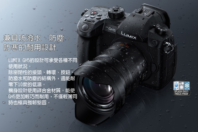 Panasonic LUMIX GH5 單機身*(平輸中文)