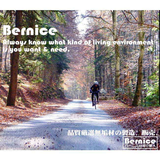 Bernice-愛瑪簡約鞋櫃 - 高大款