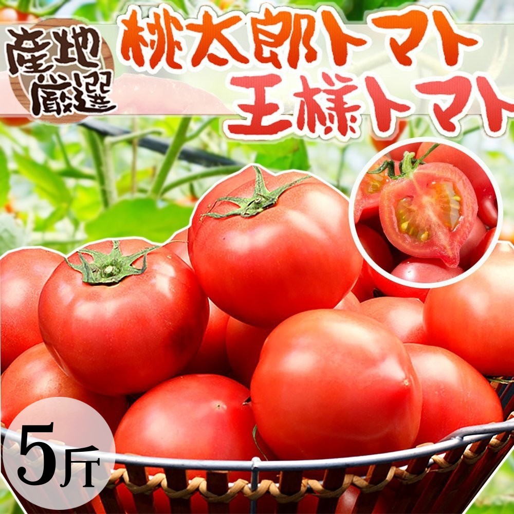 天天果園＊台灣嚴選桃太郎番茄(每斤3~5顆) x5斤±10%