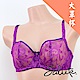 莎露-FANTASIE 系列DEFGH 大罩杯內衣(紫)歐美進口品牌 product thumbnail 1