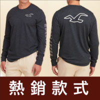 Hollister HCO印花LOGO長Tee