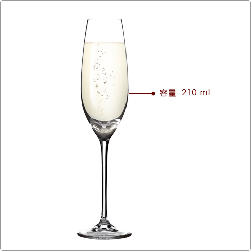 TESCOMA Uno香檳杯6入(210ml)