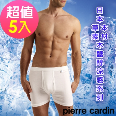 Pierre Cardin皮爾卡登 木醣醇涼感四角褲(5件組)