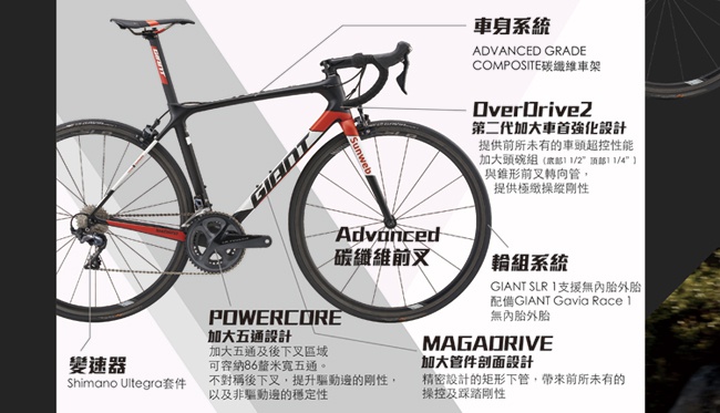 GIANT TCR ADVANCED PRO TEAM 車隊版競技公路車