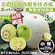 【天天果園】美濃特級小香瓜3斤(8-10顆) product thumbnail 1