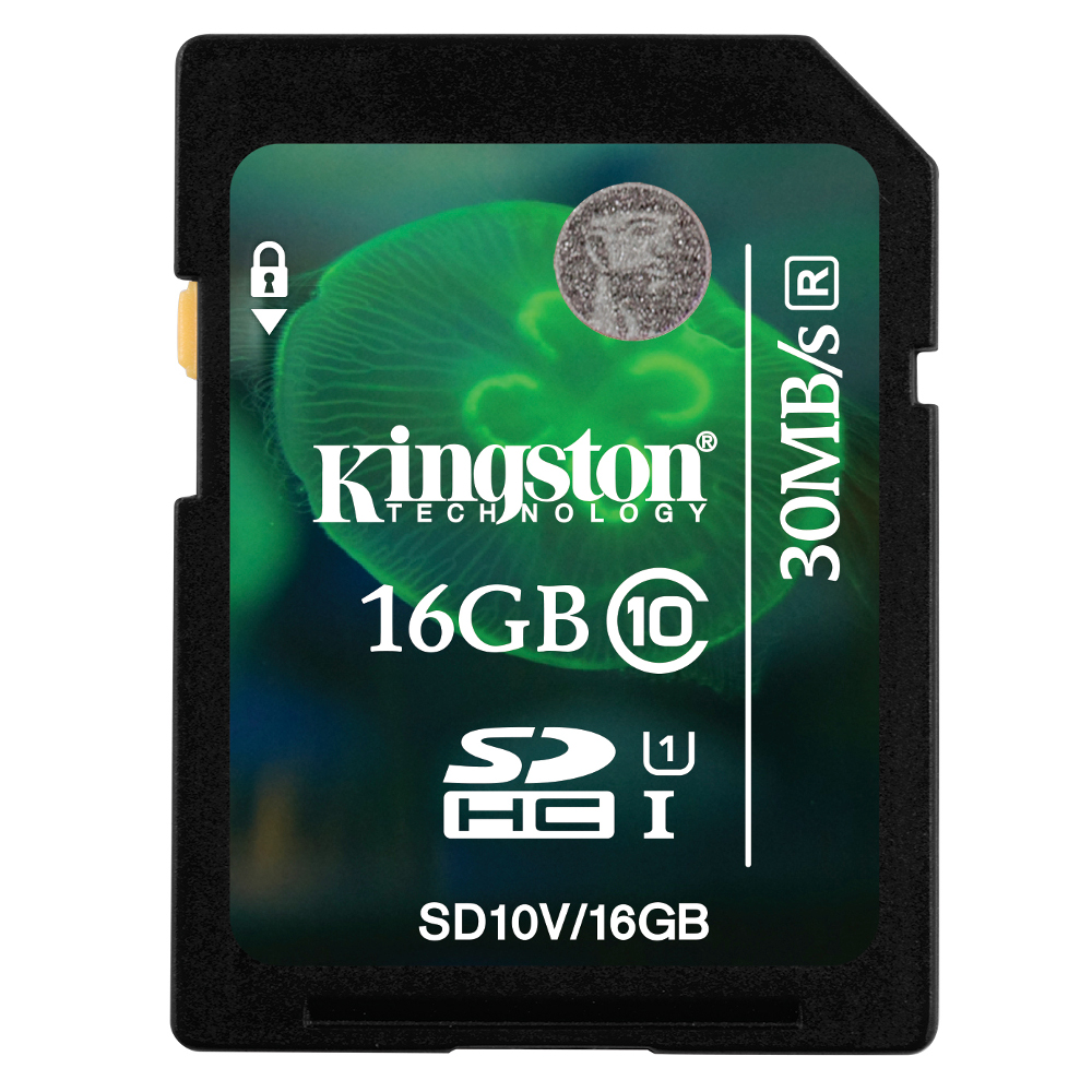 Kingston 16G SDHC C10 UHS-I 記憶卡