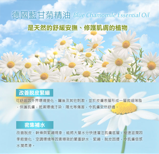 iSpring 面膜專科 高效藍甘菊舒緩隱形面膜10片/盒