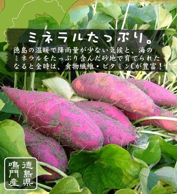 果之蔬 日本里蒲栗子地瓜 5kg±10% (日本原裝進口)