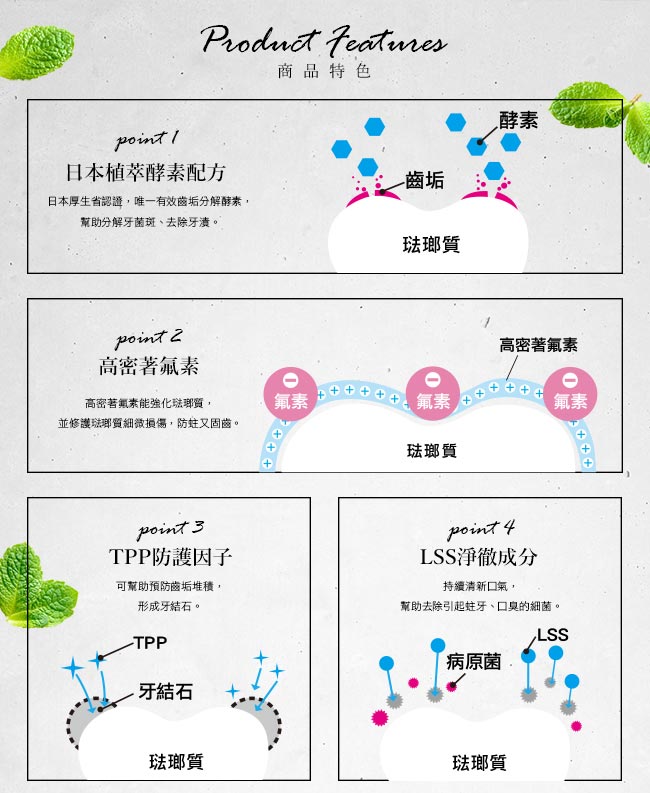 日本獅王LION 固齒佳酵素淨護牙膏 清涼薄荷 30g