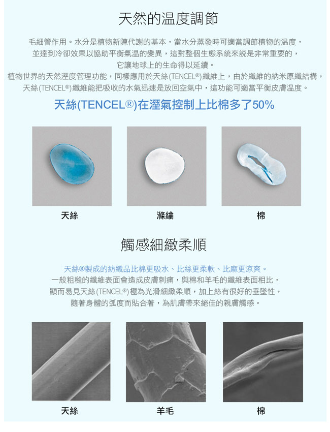 鴻宇HongYew 300織天絲-綠野仙蹤 雙人兩用被套