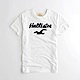 Hollister HCO  短袖 T恤 白色 0578 product thumbnail 1