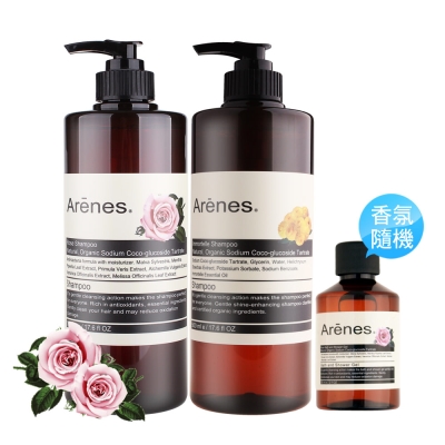 Arenes 熱銷玫瑰蠟菊香氛染燙修護組