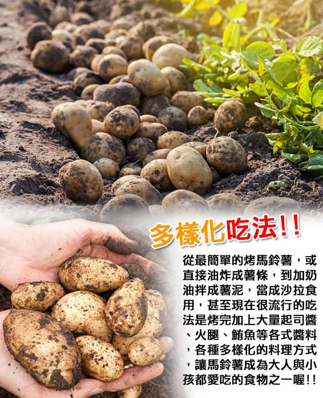 鮮採家 新鮮馬鈴薯3台斤1箱