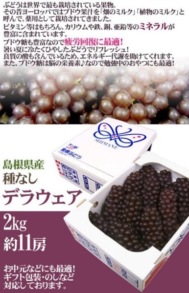 【天天果園】日本溫室珍珠葡萄 x1kg (約5~7串)