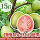 果之蔬 頂級款A+紅心芭樂15台斤±10% product thumbnail 1