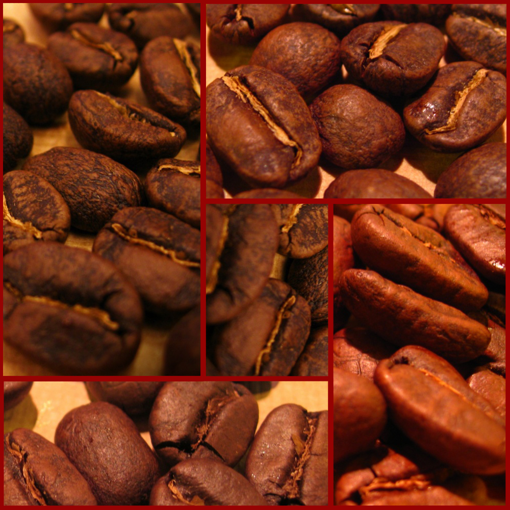 《臻咖啡》黃金曼特寧咖啡豆