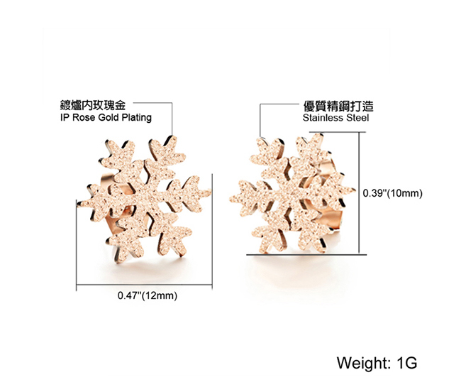 JINCHEN 白鋼雪花耳環 砂面