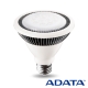 威剛 ADATA PAR30 15W LED 投射燈 白光/黃光 3入 product thumbnail 1