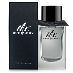 BURBERRY Mr. BURBERRY男性淡香水100ml