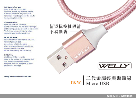 WELLY HTC/三星/索尼 Micro USB二代金屬系經典編織線(30CM)