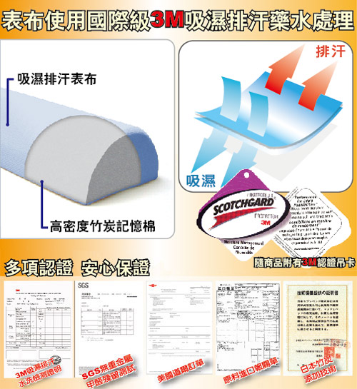 LooCa 吸濕排汗釋壓萬用靠枕(粉藍)